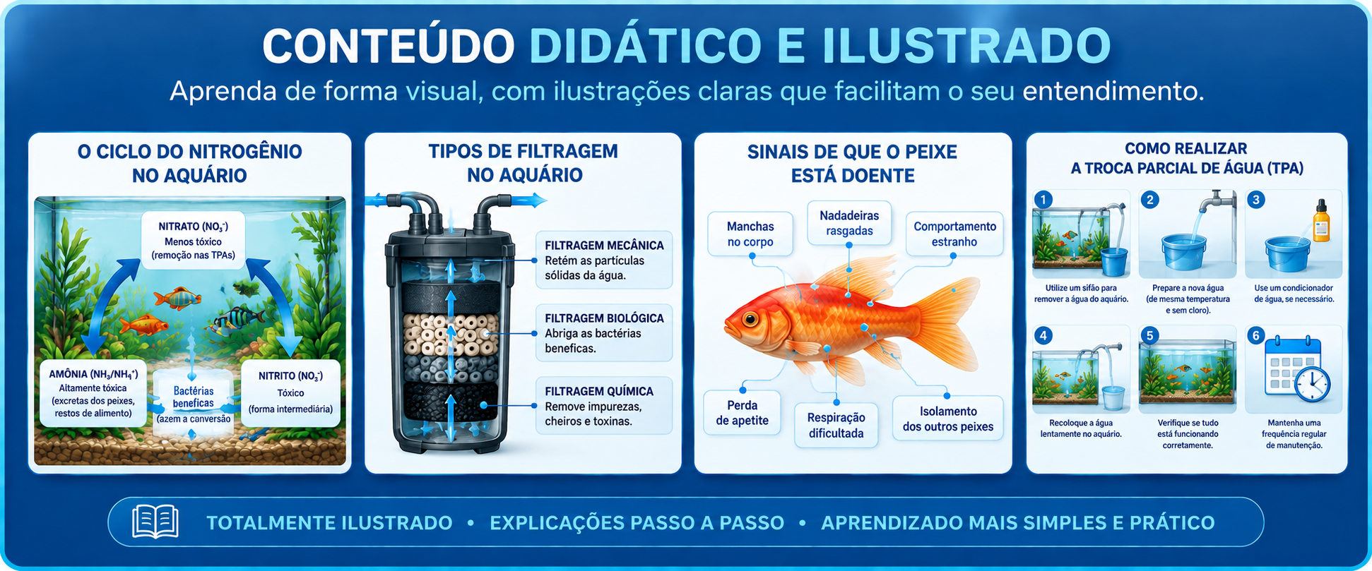 Exemplos de ilustrações dos e-books sobre ciclo do nitrogênio, filtragem, sinais de doença e troca parcial de água